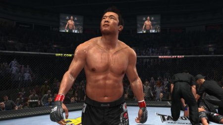 UFC Undisputed (2010)