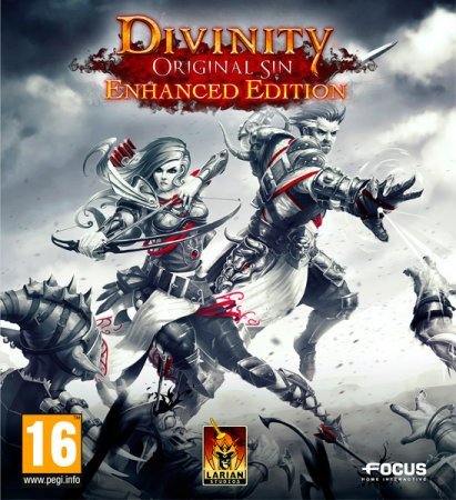 Divinity: Original Sin Enhanced Edition (2015)